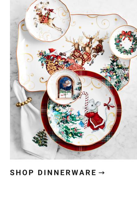 Shop Dinnerware